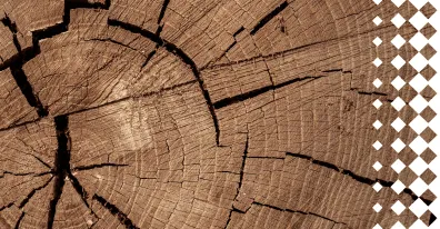 Показатели бизнес-процессов