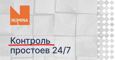 Numina устранила до 15% потерянных сервисных заявок с ELMA365