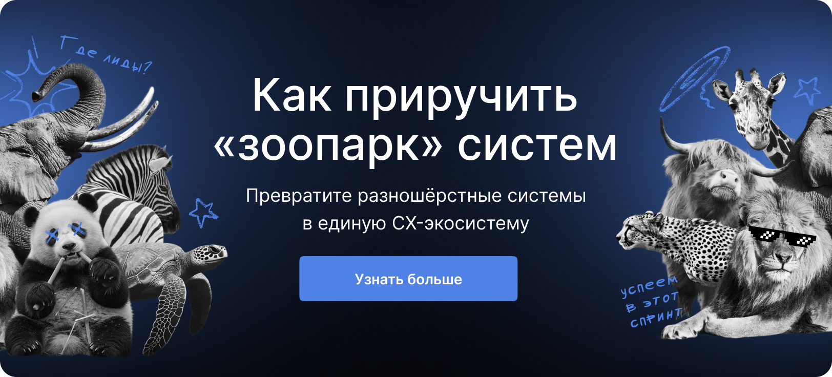 Баннер
