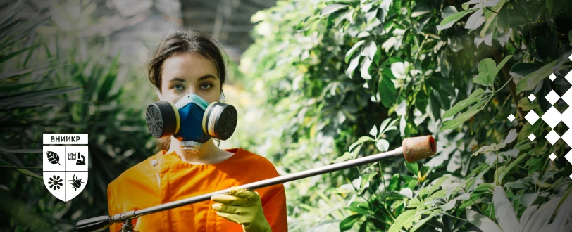 Мы поговорили с начальником отдела сопровождения информационных систем Всероссийского центра карантина растений Денисом Эльдемуровым об управлении инфраструктурой и оптимизации процессов организации в BPM-системе ELMA