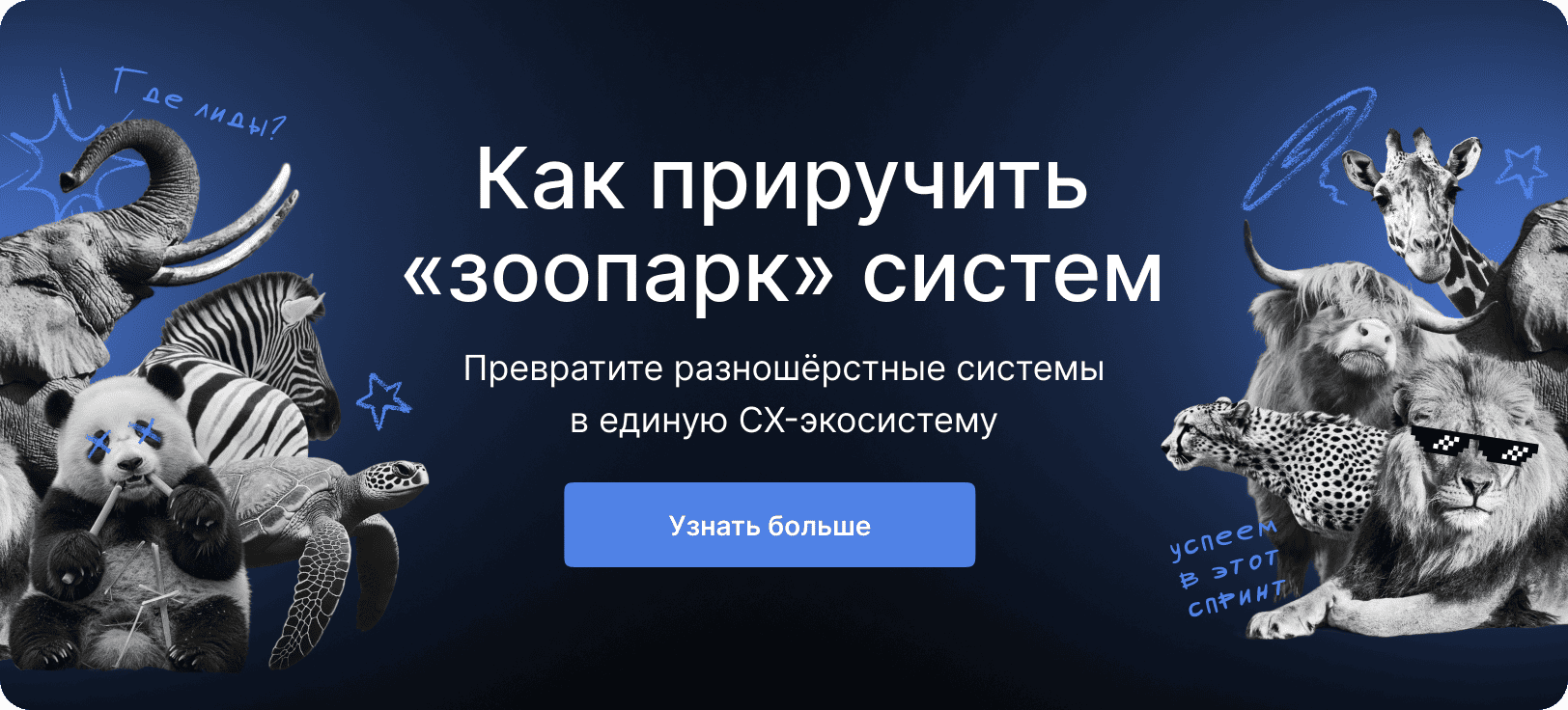 Баннер