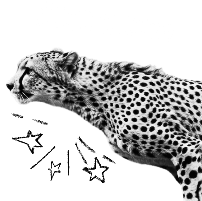 communications-cheetah