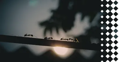 Автоматизация документооборота: возможности системы и преимущества СЭД для бизнеса