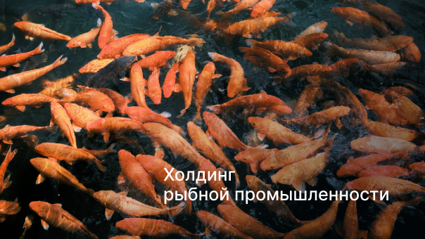 Холдинг в сфере рыбной промышленности снизил затраты на 40% с ELMA365