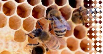 Карта бизнес-процесса: что это, примеры и инструменты создания