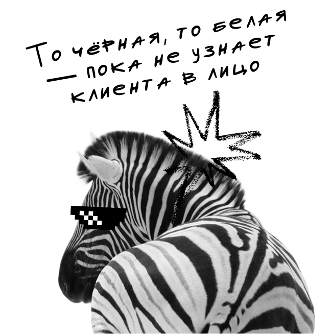 marketing-zebra