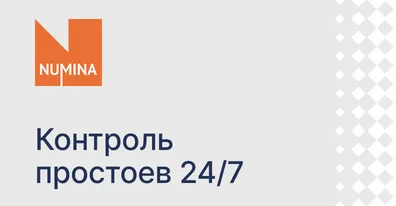 Numina устранила до 15% потерянных сервисных заявок с ELMA365