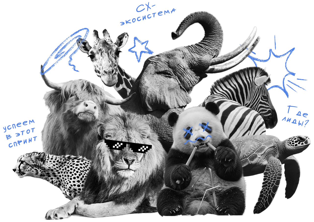 Как приручить «зоопарк» систем