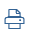 print-icon